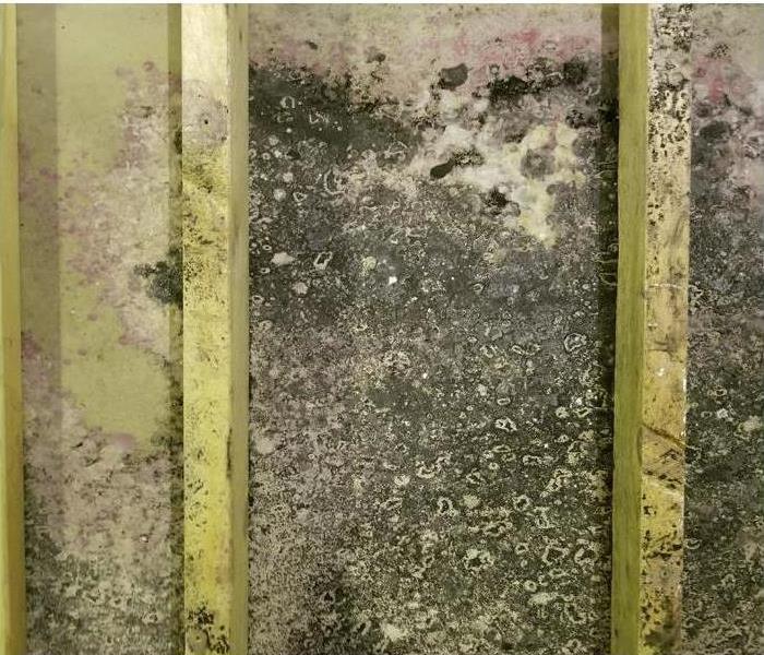 It can be challenging to find and address mold in your home