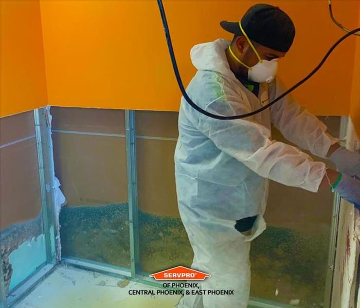 Highly trained mold remediation specialist